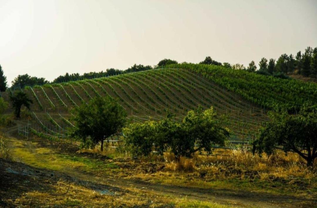 Agriturismo Feudo Tudia Landro Zewnętrze zdjęcie