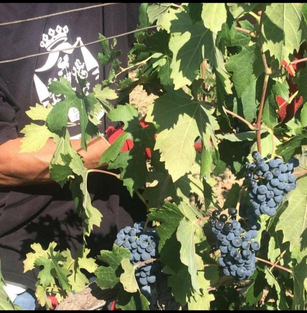 Agriturismo Feudo Tudia Landro Zewnętrze zdjęcie